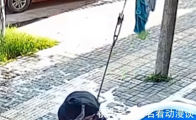 游泳池|河南一爸爸带女儿玩水,不小心走了神,女儿直接跌进水里