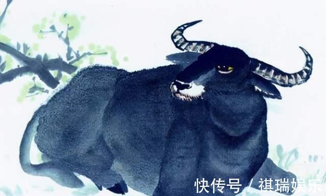 属相|生孩子要看属相4个属相的孩子有优势,孩子比同龄人更聪明