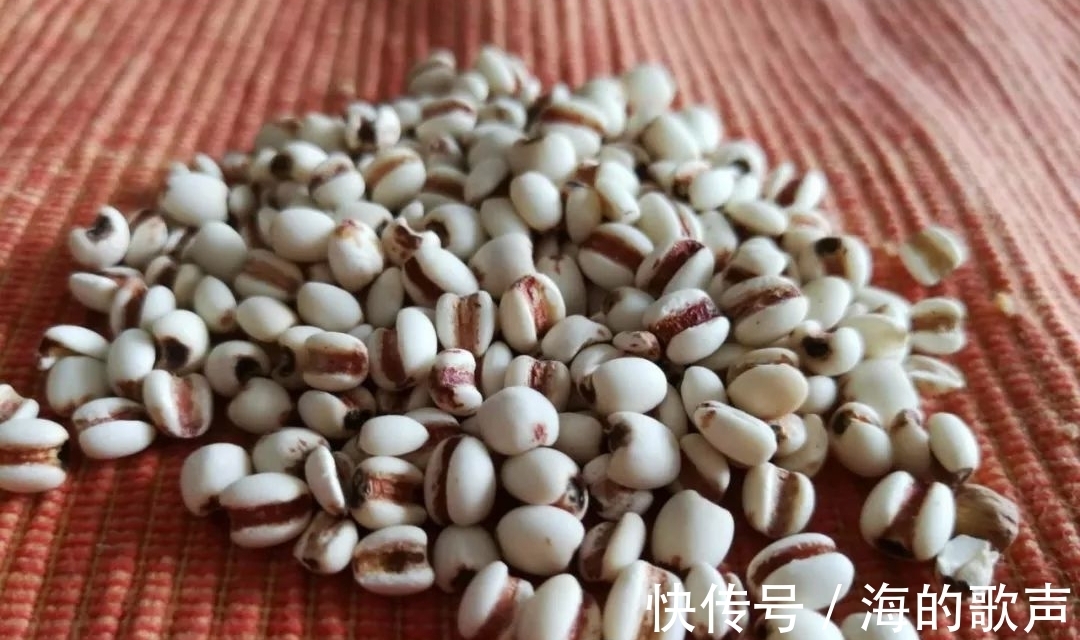 窗帘|小时候,它是做门帘、手链的材料,它叫“草珠子”,你还记得吗?