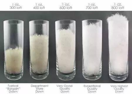  相差|什么是含绒量？什么是充绒量？同是羽绒服，价格相差那么大？