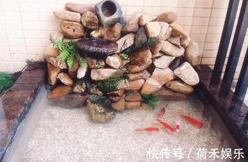 在阳台上砌个鱼池，成本只花200元，亲戚朋友们都眼红了