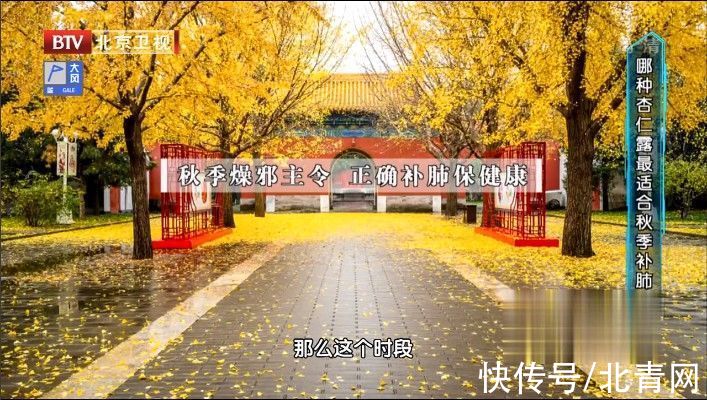 通便|秋季必吃的“百果之宗”，清热、止咳、通便！但这样吃才能获益，别再吃错了