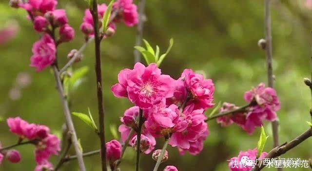 老年|大年初一行大运,南宁路上“红通通”,你参与了吗?