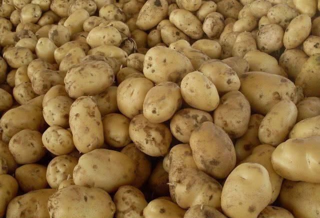 高血压|查出高血压,不妨每天吃点“它”,血压稳降,比降压药都强