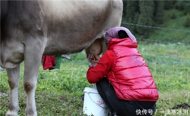 蒙古包|自驾独库公路：那拉提草原牧民，生活过得简单却都是百万富翁