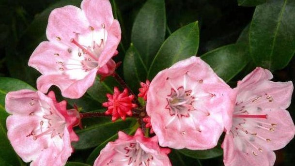 智慧|有一种修养,叫“少管闲事”,这是一种人生大智慧