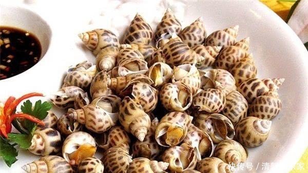 三种螺在夜市中最受欢迎,吃完后还得吸一下手指,你都吃过吗