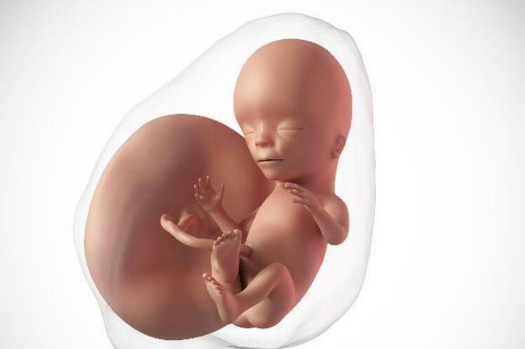 叮麻|孕妇孕期这些表现,是胎儿“高智商”的信号,赢在娘胎没问题