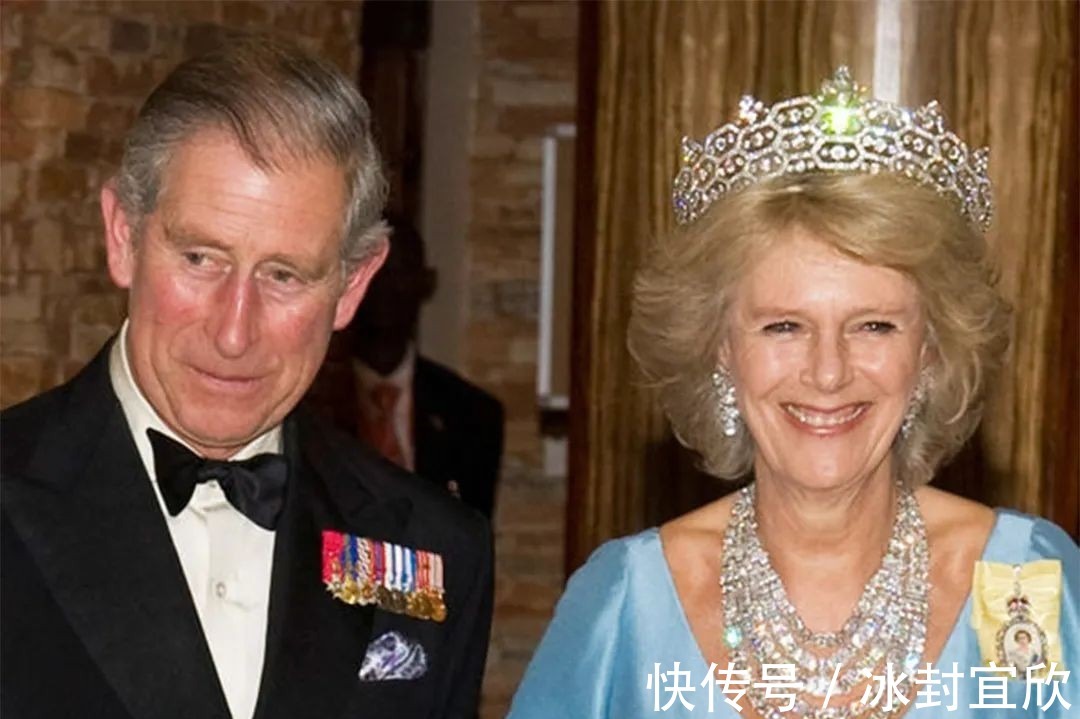 伊丽莎白|卡米拉的蛇形项链20年前做情人时查尔斯送的,蛇蝎气质一目了然