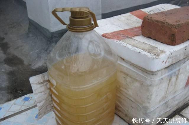 淘米水家家有，淘米水发酵多久浇花？哪些花适合浇？