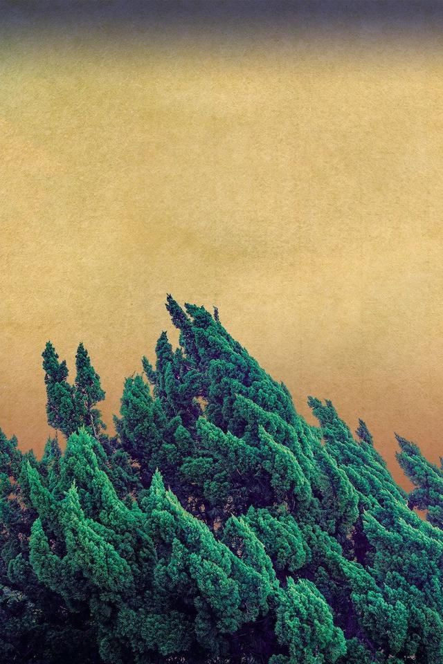 人品|哲思｜人生到最后，拼的都是人品