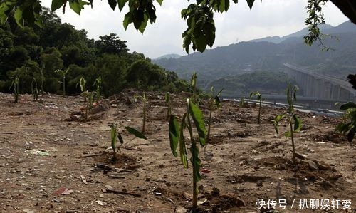山上没有树木,也没有野草,传闻中这里有将军墓保佑着当地的人