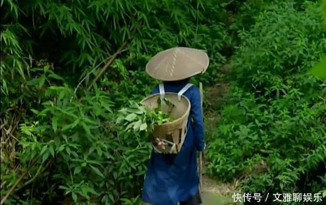 枸杞|李时珍:枸杞与它是“绝配”,悄悄用来泡水,让阳气燥起来