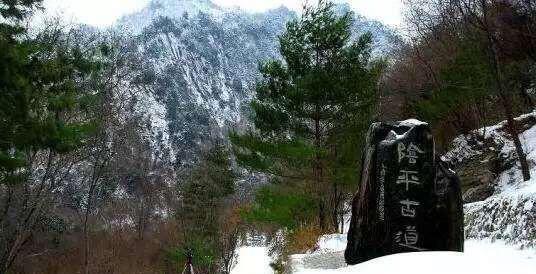 司马昭|司马昭为什么要杀邓艾!