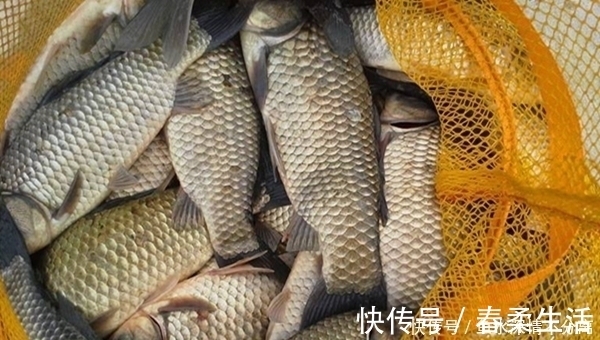 冬季钓鱼,如何钓到大鲫鱼?事实证明,大鲫鱼喜欢在这些位置过冬