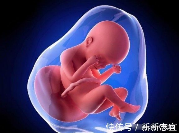 睡眠时间|胎儿在腹中真的一天到晚就是睡吗？孕妈看完笑哭，真闹腾