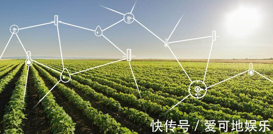 阿里巴巴|人民日报痛批阿里，一直保持沉默的马云，终于现身了