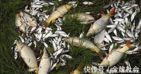 窝点|钓鱼技巧:鲜为人知的钓鱼冷知识,看似没用,其实影响了渔获量