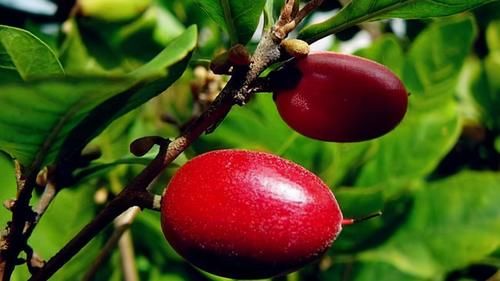 春夏|每天晚上多吃三種食物，營養豐富，延緩衰老，好吃又健康！