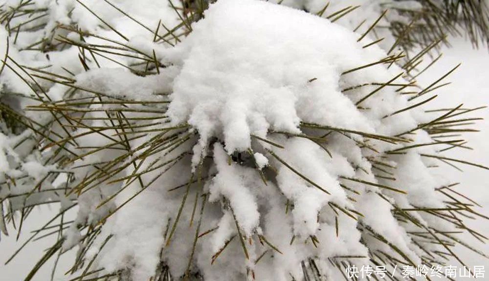 可至|西安秦岭这个峪口开车可至，适合大众爬山赏雪，还有2个免费寺庙和千年银杏