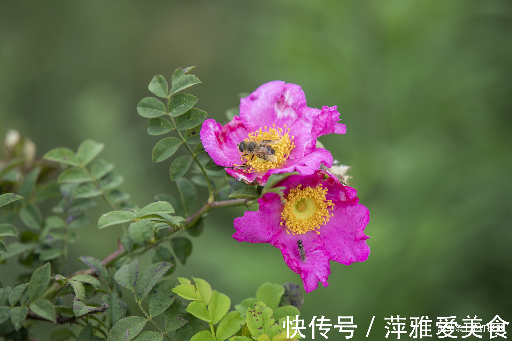 贵定县|贵州大山里的风情画廊，天然项链耀眼夺目，游客直呼：太漂亮了