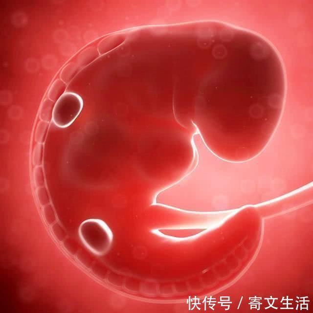 宫外孕|孕期第一次产检中,这三个指标合格,恭喜你,说明胎儿发育健康