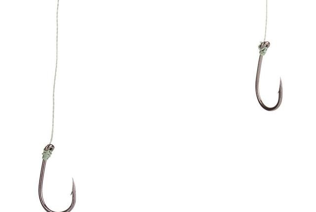 钓友|天冷口轻,浮漂没动静提竿却中鱼原因全在这3点!