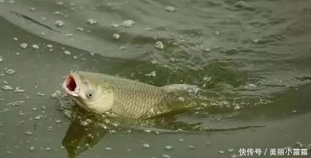 钓鱼时，只要你掌握这4大原则，不愁钓不到鱼！