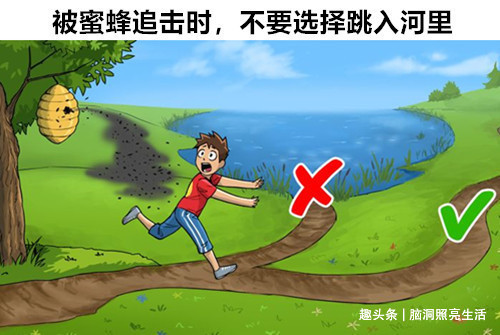 生存|平时看似没有用,但在关键时刻能帮助你摆脱危险的8个生存技巧