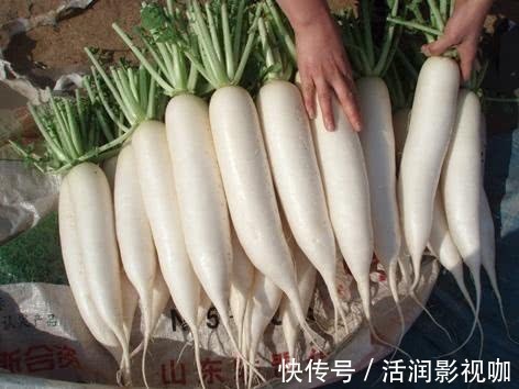 暖胃|白萝卜和此物一起炖,补钙质,长个头,暖胃健脾,早食早受益