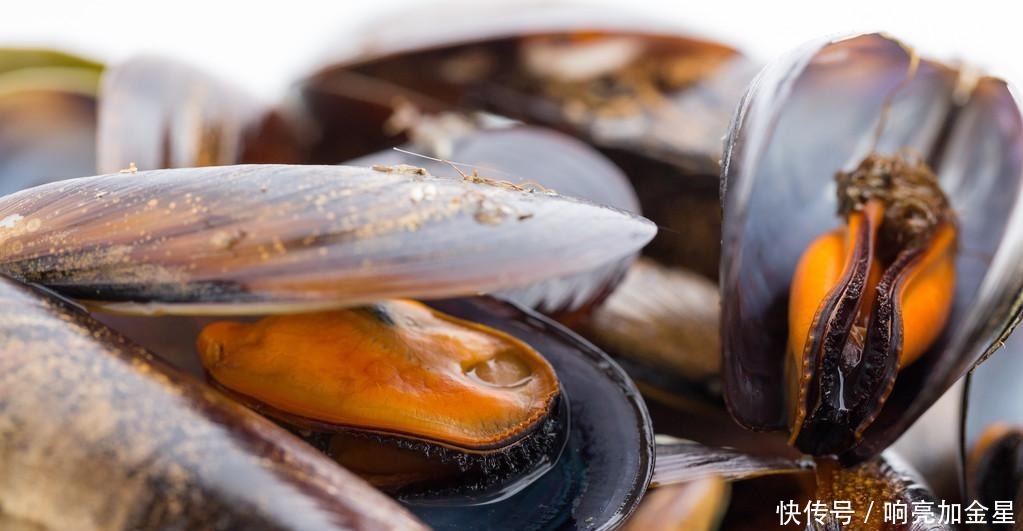 春天,遇见“第一鲜”要多买一些,1斤3元,给家人享受天然美味