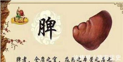 健脾|男性脾虚解决办法