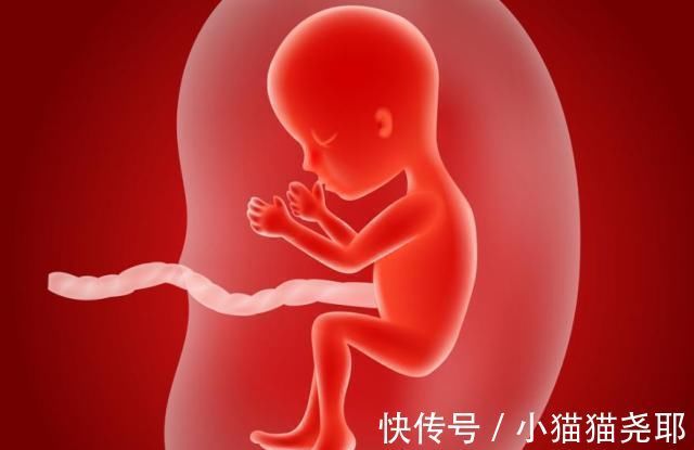 准妈妈|怀孕1~40周,每周身体有何变化?送你一份“孕期清单表”!