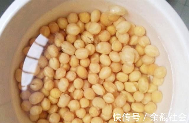 花友|生活中给君子兰吃上“3种”东西,长得根旺叶绿,年年都开花