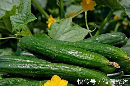 食物|晚上选择3种食物，助你摆脱失眠的痛苦，改善睡眠一觉到天明