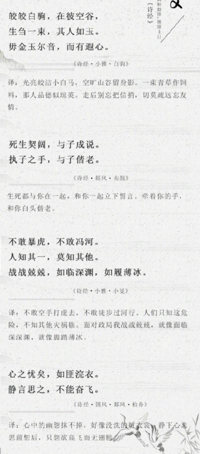 交谈|遇见《诗经》,如同遇见知音,倾心交谈,句句生香