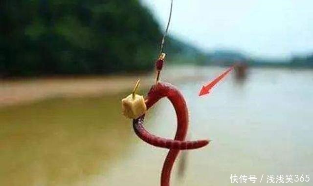 真知|钓鱼时到底该不该露钩别争论了，实践才能出真知