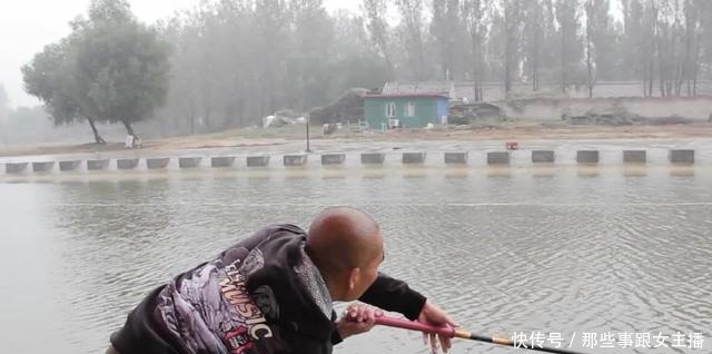 需加|秋季钓黑坑用啥鱼饵好不用多想,只需加一些它就能“出坑”了