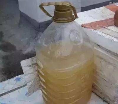 爷爷养花从不用“淘米水”,盆里倒“2种料”,6天1次,窜窜长