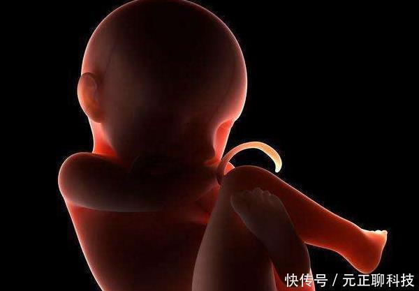 正经事|胎儿在妈妈肚子里除了睡,原来还有这么多“正经事”,一定要看看
