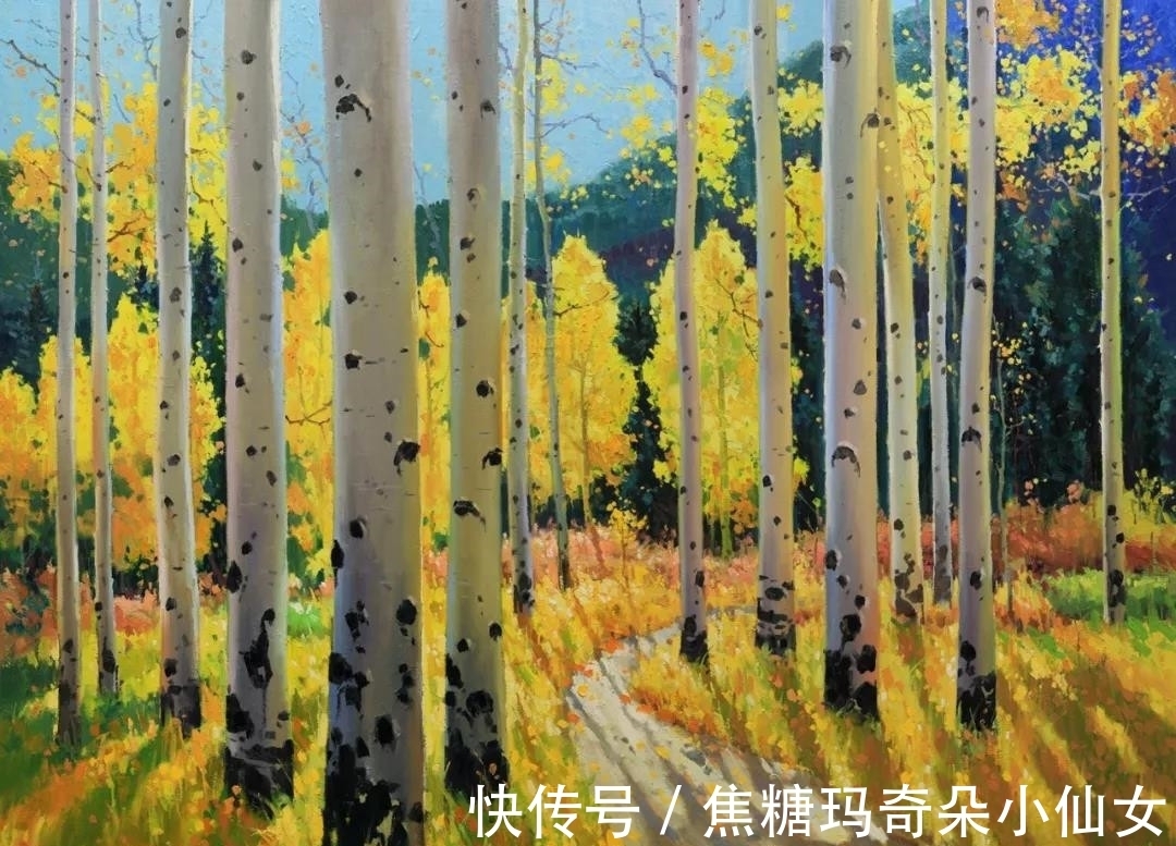 美国肖像协会!白桦林之美