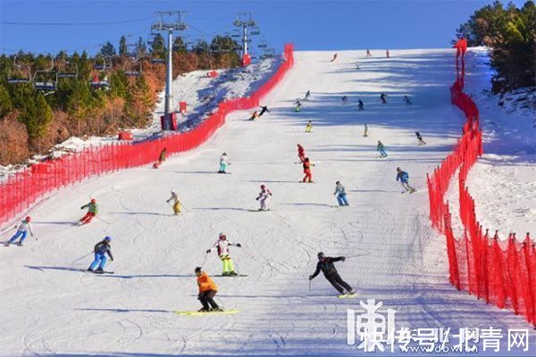 王进喜|观鹤、冬捕、泡汤…… 解锁“鹤舞雪原”冰雪旅游线路的N种玩法