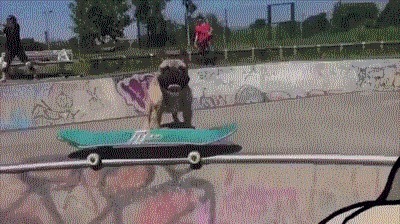 |搞笑GIF:突然感觉不对劲 以后再也不穿裙子帮人推车了