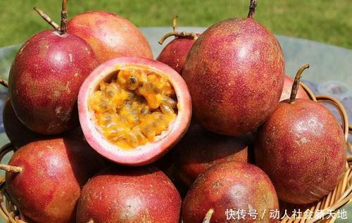 大腦|4種食物被稱為“長壽果”，延緩衰老對大腦最好，老人愛吃就對了