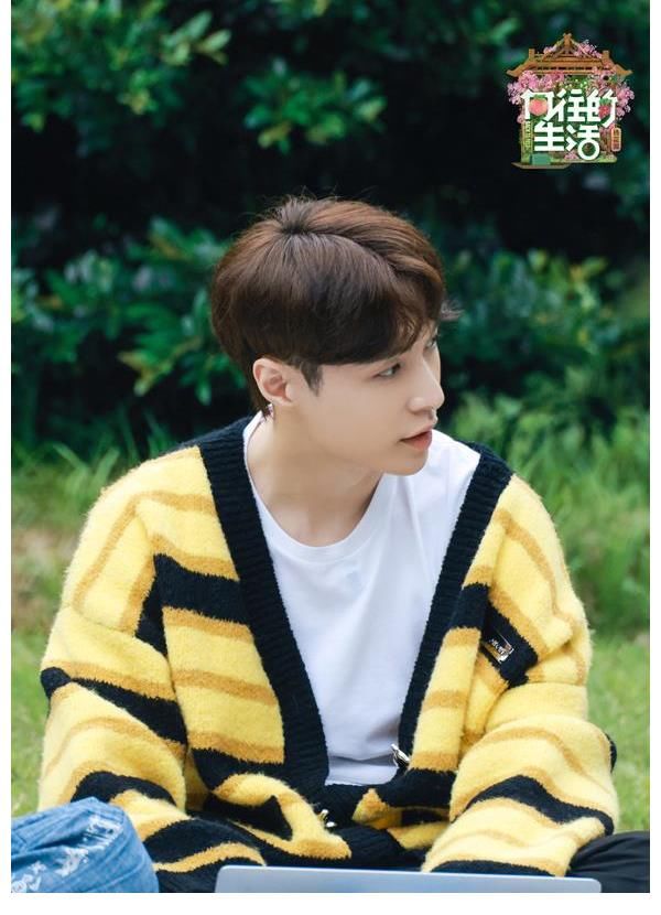 向往的生活|《向往的生活》第五季家人共创吹牛皮之歌 烟火气被赞治愈