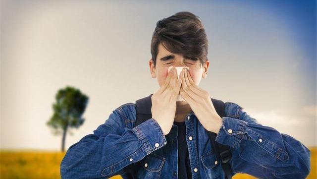 黄芪泡水|黄芪泡水,三大好处“手到擒来”!切记,“五必喝、四不喝”