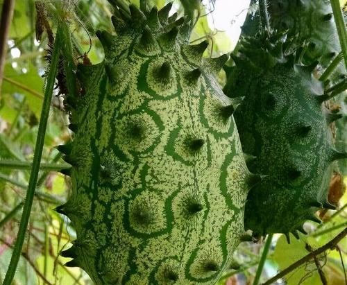  皱纹|冬天不妨经常吃3种食物，淡化皱纹、排毒养颜，早吃早好！