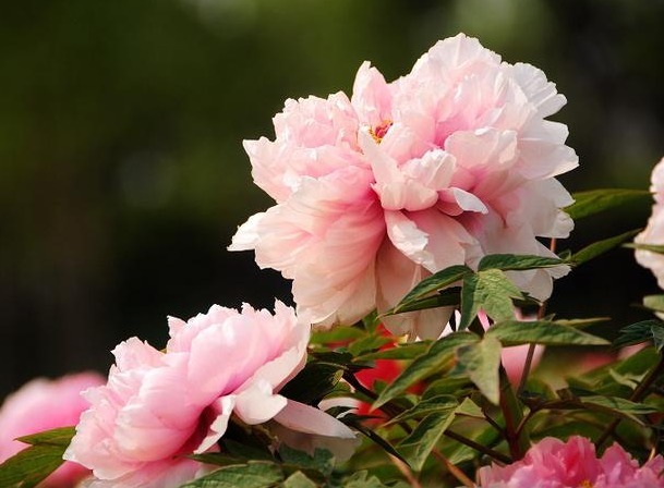 如何使肌肤可以:无惧环境的压力,无规律的作息习惯