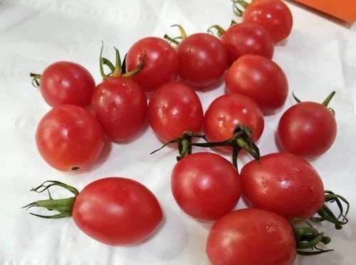 小番茄|糖尿病不可以碰水果？几种水果适量吃，实际上帮你稳定血糖！