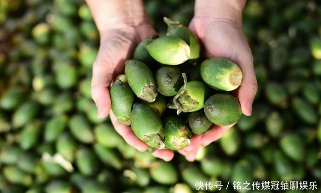 4种被列入“黑名单”的水果,尽量别去碰,最后1种吃了会“上瘾”